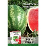 25 Adet Alaca Karpuz Tohumu