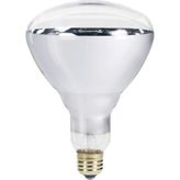 250W Infrared Şeffaf Ampul E27