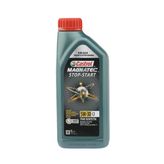 3 Adet Castrol Magnatec 5W-30 C2 1L