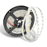 3 Çipli 3000K İç Mekan Şerit Led 12V