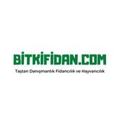 3 Yaş Glohaven Şeftali Fidanı