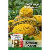 30 Adet Kırkağaç Kavun Tohumu
