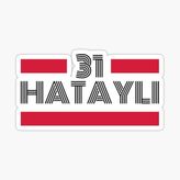 31 Hataylı Plaka Araba Sticker Yapıştırması