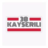 38 Kayseri Plaka Araba Sticker Yapıştırması
