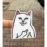 3D Kedi Sticker 2'li