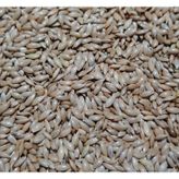 3KG SADE KANARYA YEMİ SÜPER KALİTE