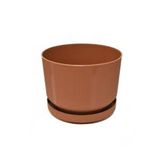 3No Saksı 6Lt Royaleks-S283