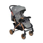 4 Baby AB-310 Active Gold Gri Çift Yönlü Bebek Arabası