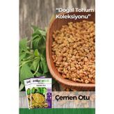 40 Adet Ata Tohumu Çemen Otu