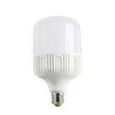 4330 25W Torch Beyaz Led Ampul 1 Adet