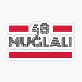 48 Muğlalı Plaka Araba Sticker Yapıştırması