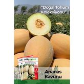 +50 Adet Ananas Kavun Tohumu