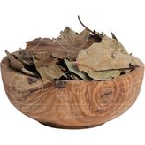 50 gr Avakado Yaprağı
