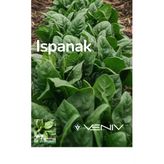 500 Adet Ispanak Tohumu - 2 Paket