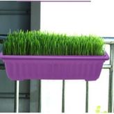 50×15 Balkon Saksı'sı - Standart
