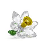 5721540 Swarovski Biblo Florere:Daffodıl