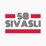 58 Sivaslı Plaka Araba Sticker Yapıştırması