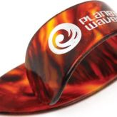 5CSH6-5 5 Thumb Pena Shell Large