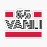 65 Vanlı Plaka Araba Sticker Yapıştırması