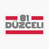 81 Düzceli Plaka Araba Sticker Yapıştırması