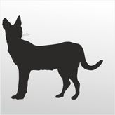 90 cm Kedi Folyo Sticker