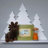 ABİES LAKE MONTESSORİ DUVAR RAFI