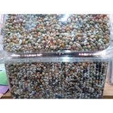 Açık Güvercin Yemi 3 kg