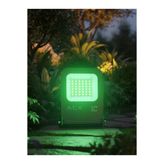 ACK 30W LED Projektör Yeşil