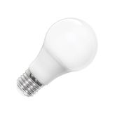 ACK AA13-01023 A60 6500K 10W Led Ampül