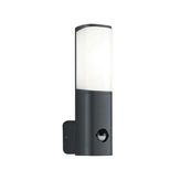 ACK AG43-01002 6W Tarus WLS 3000K Sensörlü Led Bahçe Apliği
