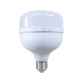 ACK LED AMPUL TOURCH 30W E27 T100 6500K