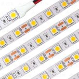 Ack Tek Çip Green 60LED 12V IP20 Serit LED