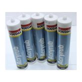 Adet Soakrilik Beyaz Mastik 500 gr