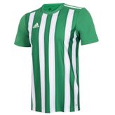 Adidas ADH35644 Striped 21 JSY Yeşil Erkek Forma