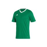 Adidas HI2123 Yeşil ENT22 JSY Erkek Forma