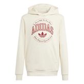 Adidas IN0623 Krem Hoodie Günlük Çocuk Sweatshirt
