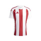 Adidas IW2142 Striped 24 Futbol Erkek Forma