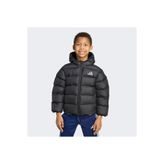 adidas Sentetik Dolgulu Mont Çocuk