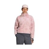 Adidas W Terrex mt Ess Hp Aop Kadın Outdoor Polar Sweatshirts KS2313 Mor