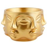 Adler Orta Boy Saksı, Gold