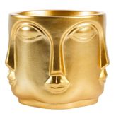 Adler Saksı Küçük Boy Gold