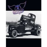 Aerosmith Pump Plak