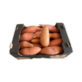 Ağacından Taptaze Tatlı Patates - 1 kg