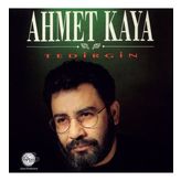 Ahmet Kaya - Tedirgin - Plak