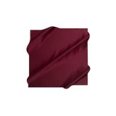Aker Bordo Kadın Eşarp 7519713945