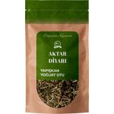 Aktar Diyarı Yoğurt Otu 1000 gr - 1 Adet
