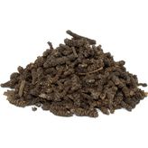 Aktarzane Dar-I Fülfül Darı Fülfül 500Gr - 500 gr