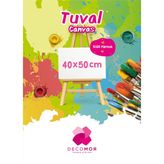 Alex Schoeller Decomor Tuval 40X50