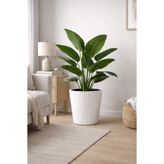 Alezy Luna Model İç Drenaj Hazneli Modern Plastik Saksı 29 lt (36.8cmx36.4cm) Beyaz