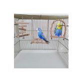 aliceshop Muhabbet Kuşu Kafes Aksesuarları 3 Lü Set Kuş Oyuncağı Kuş Salıncağı Kuş Tünegi